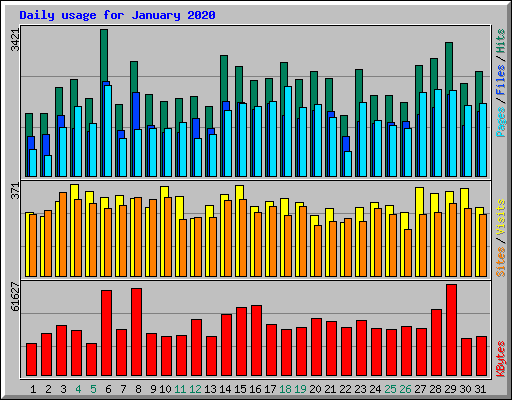 Daily usage for January 2020