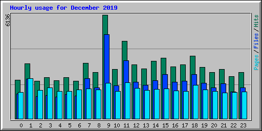 Hourly usage for December 2019