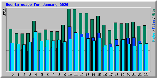 Hourly usage for January 2020