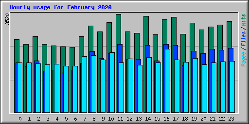 Hourly usage for February 2020