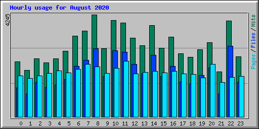 Hourly usage for August 2020