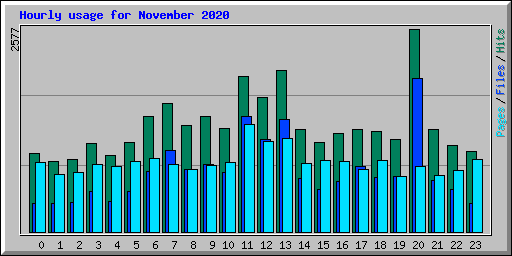 Hourly usage for November 2020