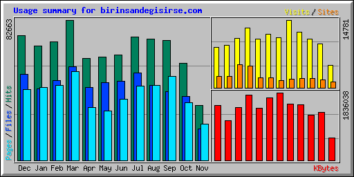 Usage summary for birinsandegisirse.com